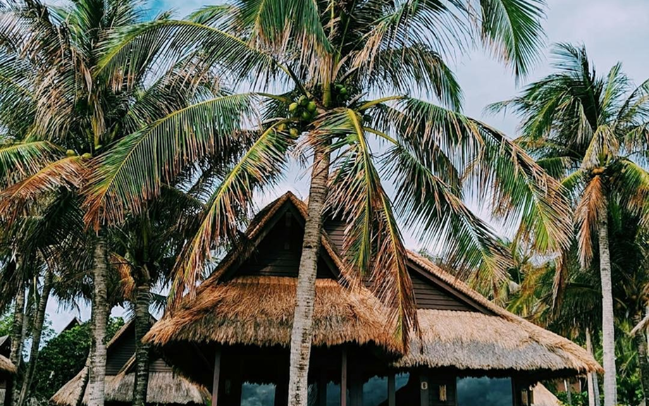 Phòng Resort Nhiệt Đới